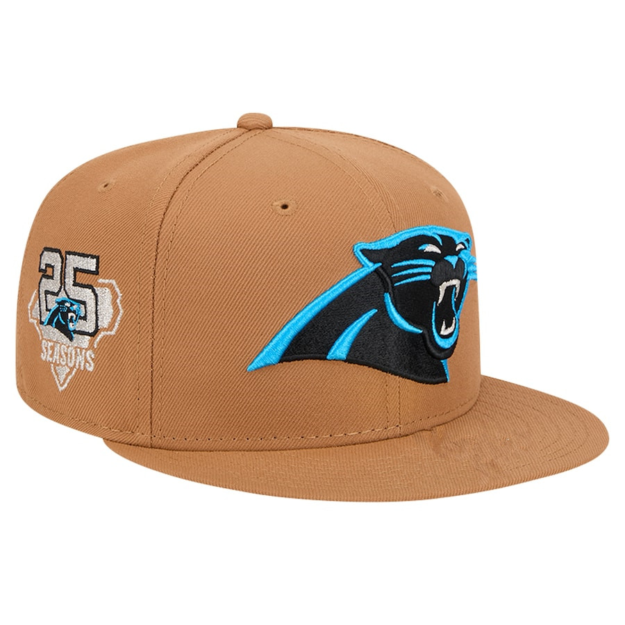 2024 NFL Carolina Panthers Hat TX20241008->->Sports Caps